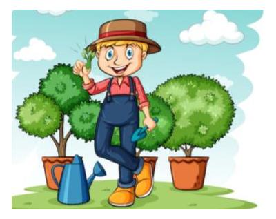 Новые правила жизни садоводческих товариществ в Беларуси