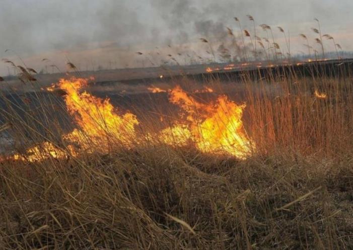 Профилактика пожаров в экосистемах