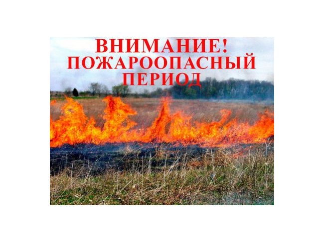 Пожарная безопасность в Гомельской области в 2024 году Пожарная безопасность в Гомельской области в 2024 году