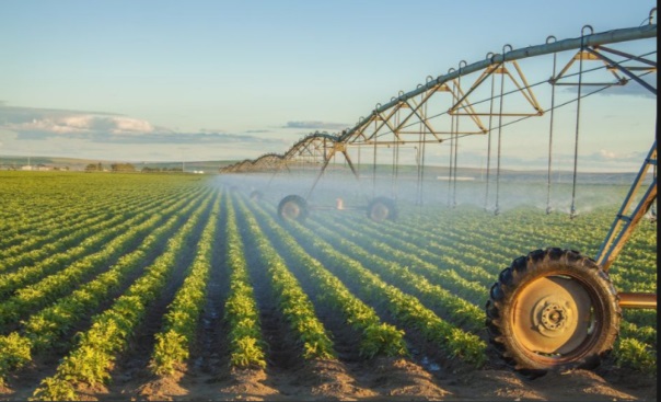 На восстановление мелиорированных земель будут направлены дополнительные средства из республиканского бюджета