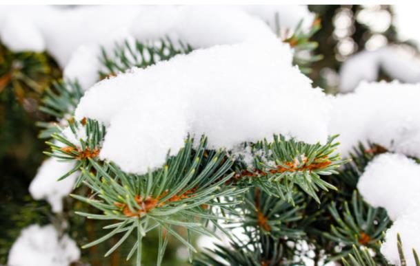 Интерактивную карту особо охраняемых природных территорий разрабатывают в Беларуси