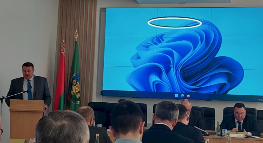 Ермалюгина Алла Анатольевна 28.12.2022 приняла участие в заседании коллегии Государственного комитета по имуществу Республики Беларусь