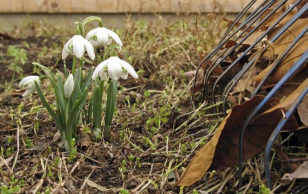 Благоустройство и наведение порядка на земле
