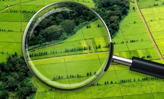 Какие изменения ожидаются в законодательстве в сфере земельных отношений