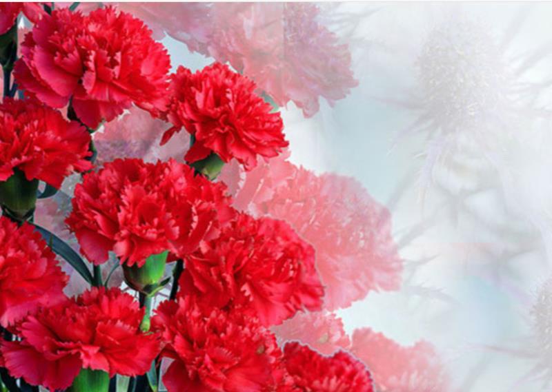 С Днём Октябрьской революции