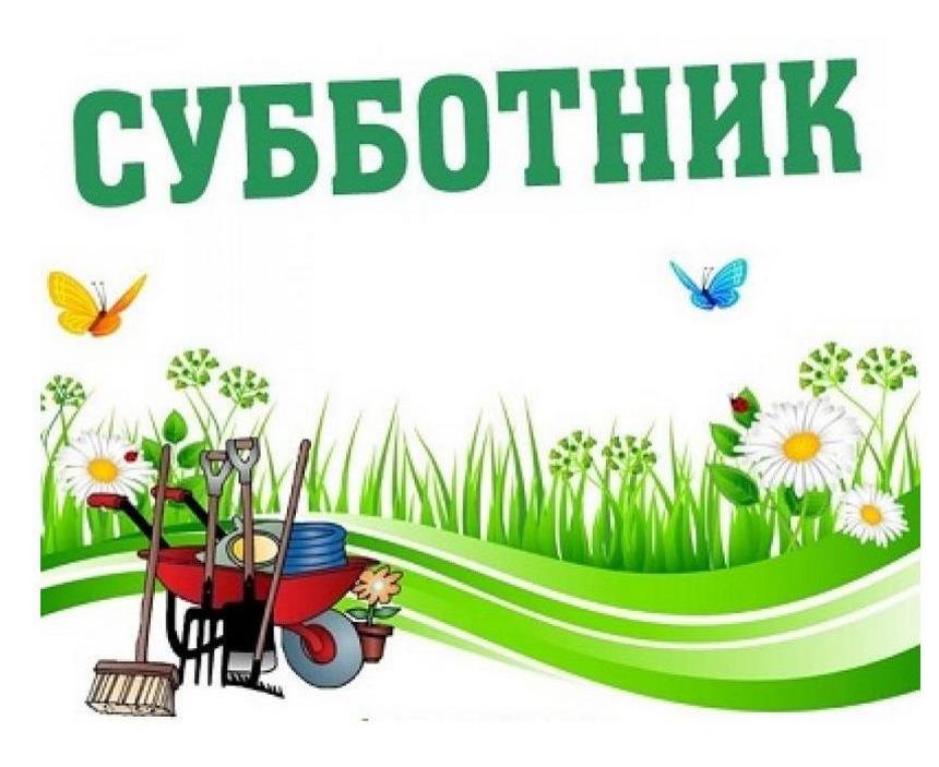 Коллектив управления землеустройства Гомельского облисполкома 16.08.2025 принял участие в областном субботнике