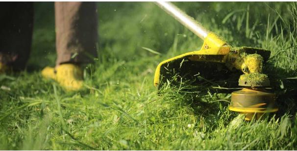 Изменения в правила благоустройства и содержания населенных пунктов