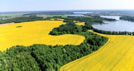 Изменение границ Витебской, Гомельской и Могилевской областей