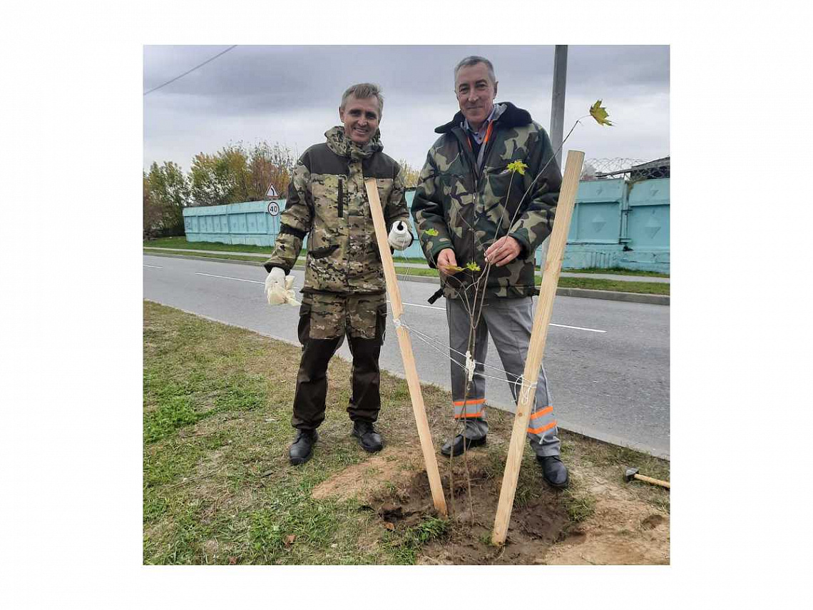 Главное управление землеустройства Гомельского облисполкома совместно с   РДУП «Проектный институт «Гомельгипрозем» провели сезонные работы на Аллее землеустроителей